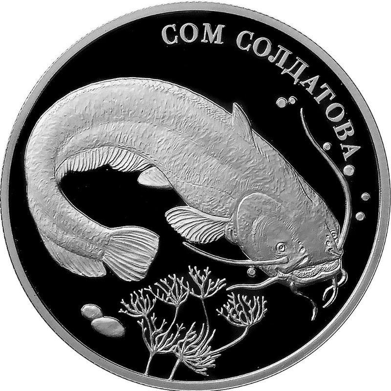 Серебряная монета России 